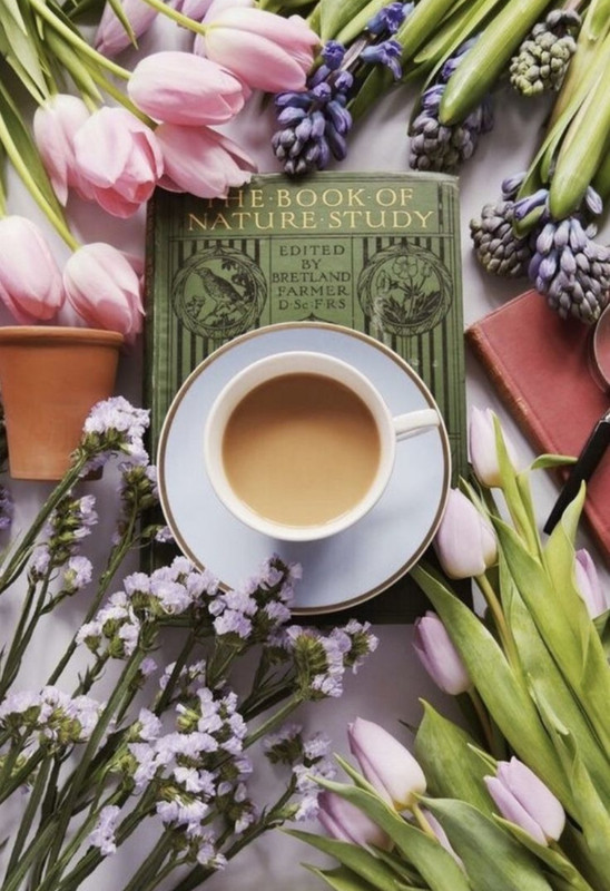 Screenshot_20221213-235853_Chrome