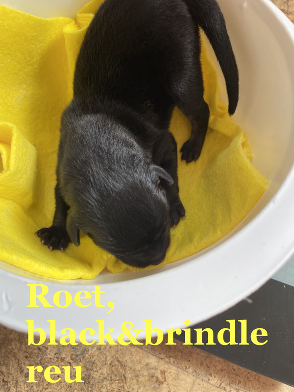 F6995951-8E10-4A3C-8E8A-8A57E936FA74_1_201_a