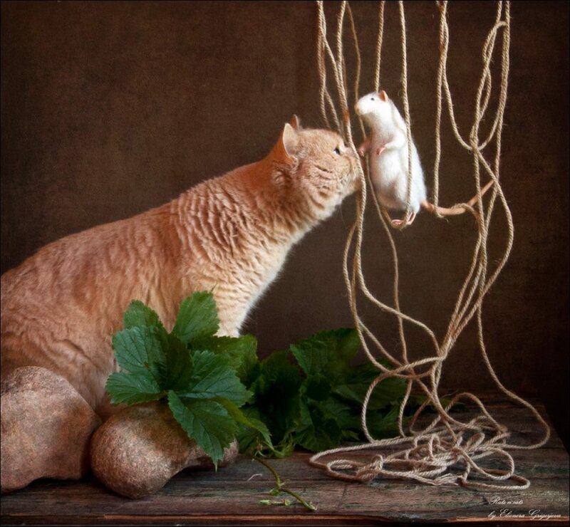 11053672-582473565189444-6294925879590957373-n