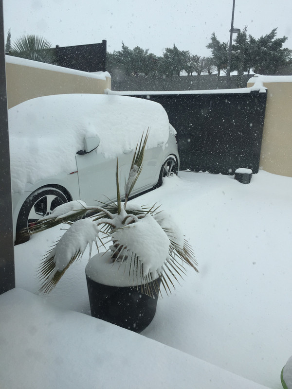 00AD29AE-E4B5-4762-BA36-7B3242C5AEA2