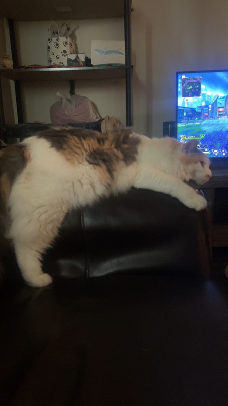 IMG 1640