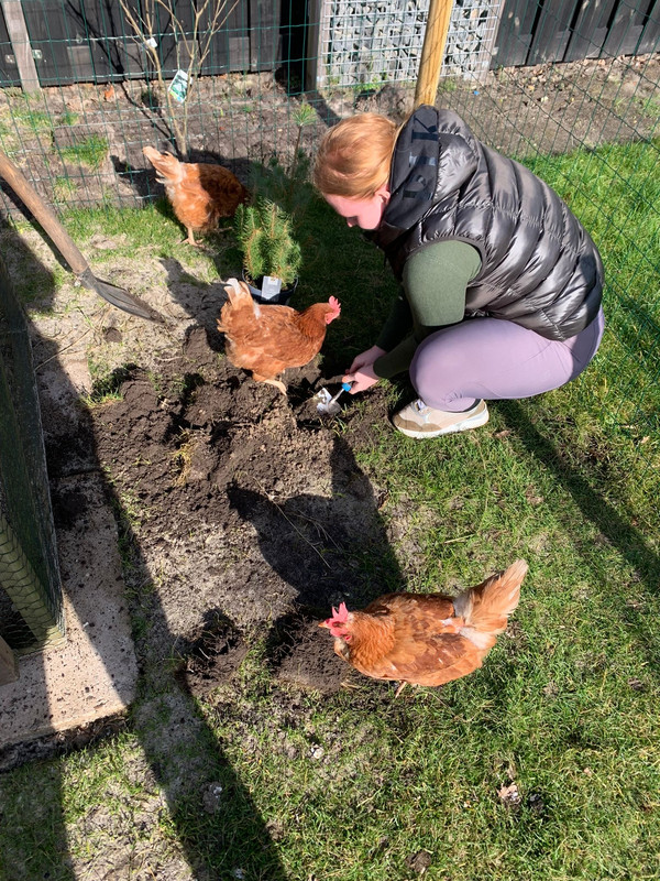 e986f401-acdd-4f64-991a-53c1b71dc879