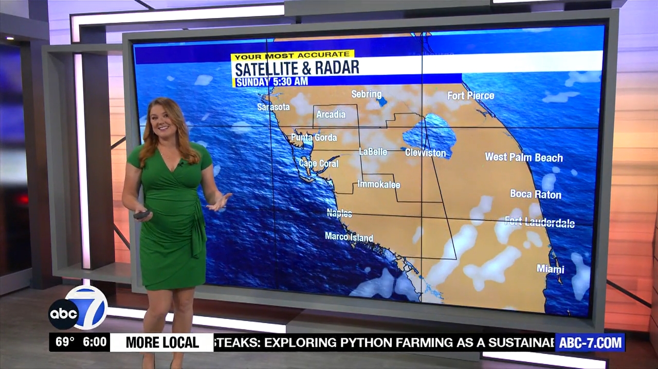 Abc7 More In The Morning Wkn 6Am Su 20240317 10001100-1.mp4_snapshot_01.46.726