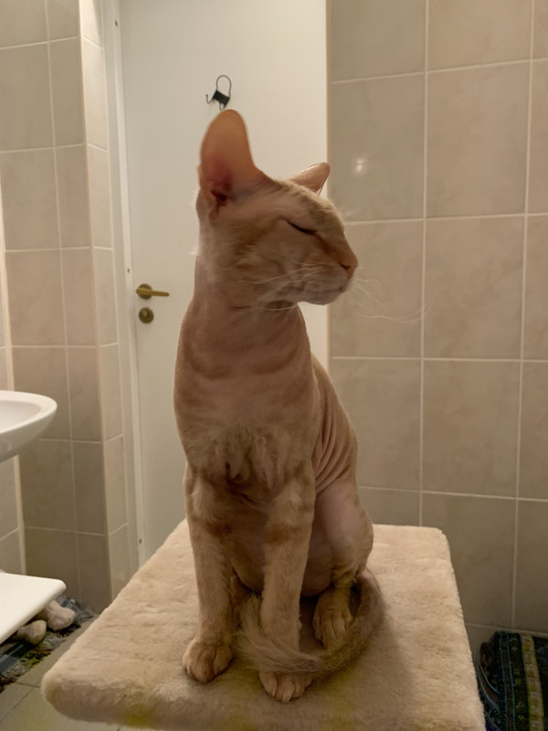 4B5EF59A-B076-464C-AB08-7613B72D7A64