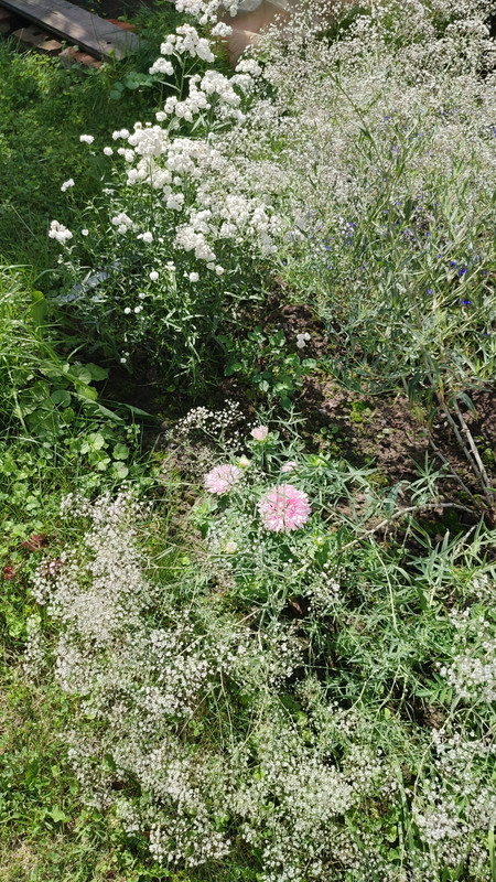 IMG_2023_08_02_12_41_28_1534870302619669778767