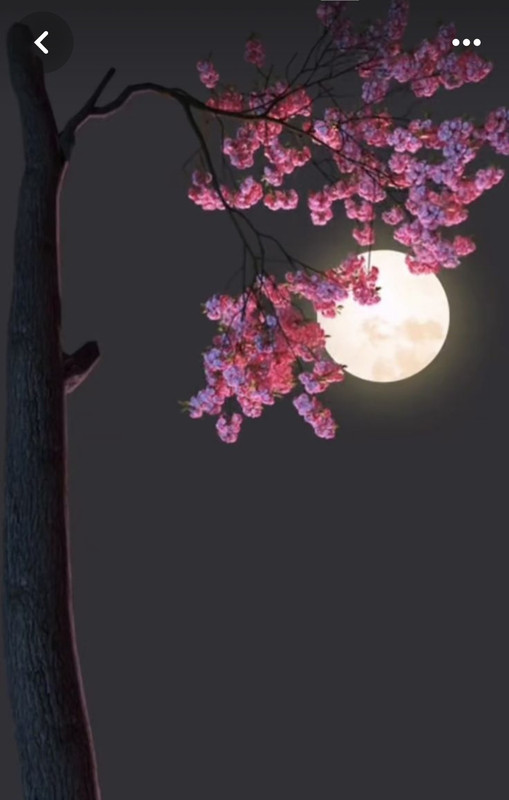 Screenshot_20240331_165041_Pinterest