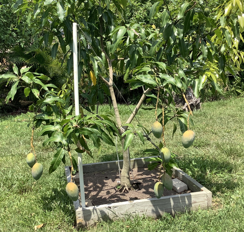 683E5AE4-7447-44E2-9C3A-944216D73627