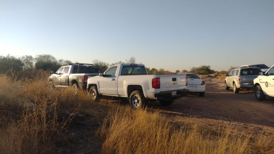 Ciudad Obregón, una inmensa fosa clandestina: Localizan restos humanos; serían de un hombre