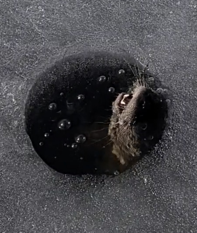 Screenshot 20250316 225244 Gallery