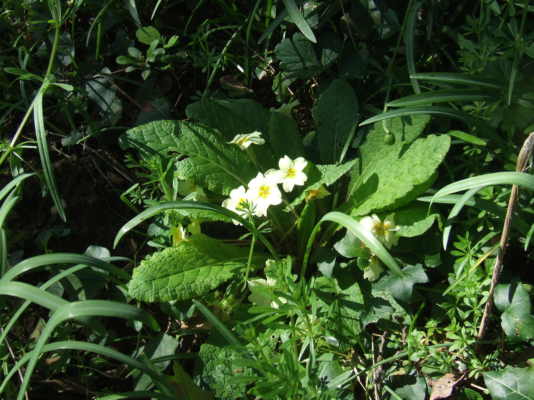 spring-014.jpg