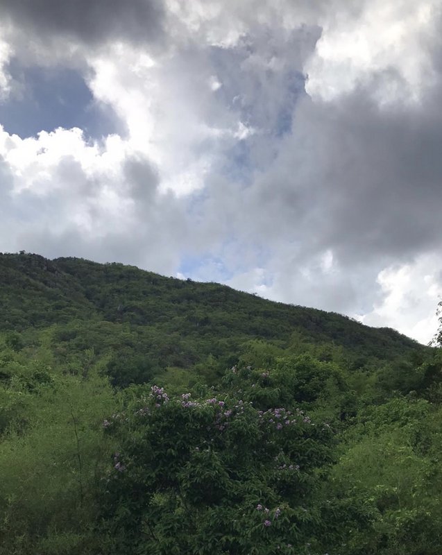 CB4B3064-4951-4754-BF0F-9CE26FD56F28