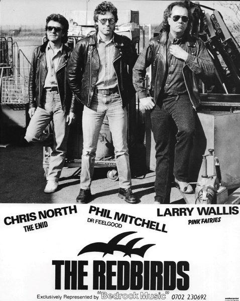 https://i.postimg.cc/QxG8TzXW/The-Redbirds-Promo-Pic.jpg