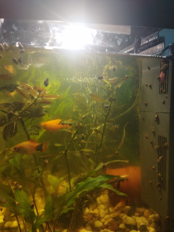 1668421263272 [1600x1200]