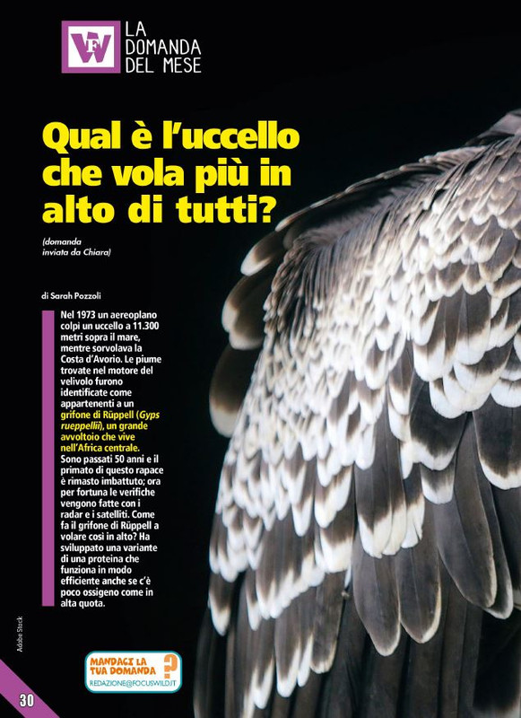 Foc Wil - Dic 2023 (5)