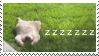 Zzzzzzz