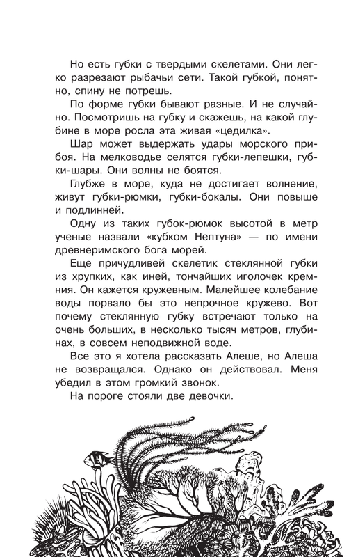 ASE000000000827055-12