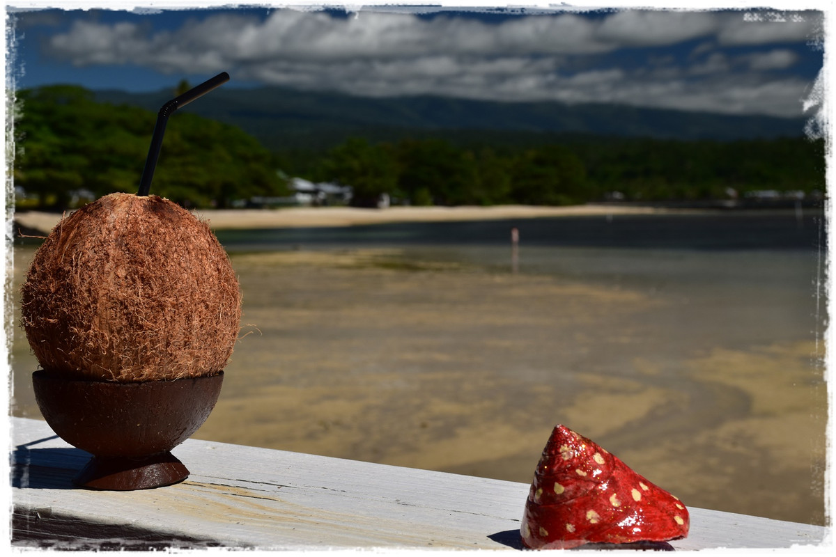 Talofa! Samoa, una perla en el Pacífico - Blogs de Samoa - Días 3-4. Savai’i: costa norte (11)