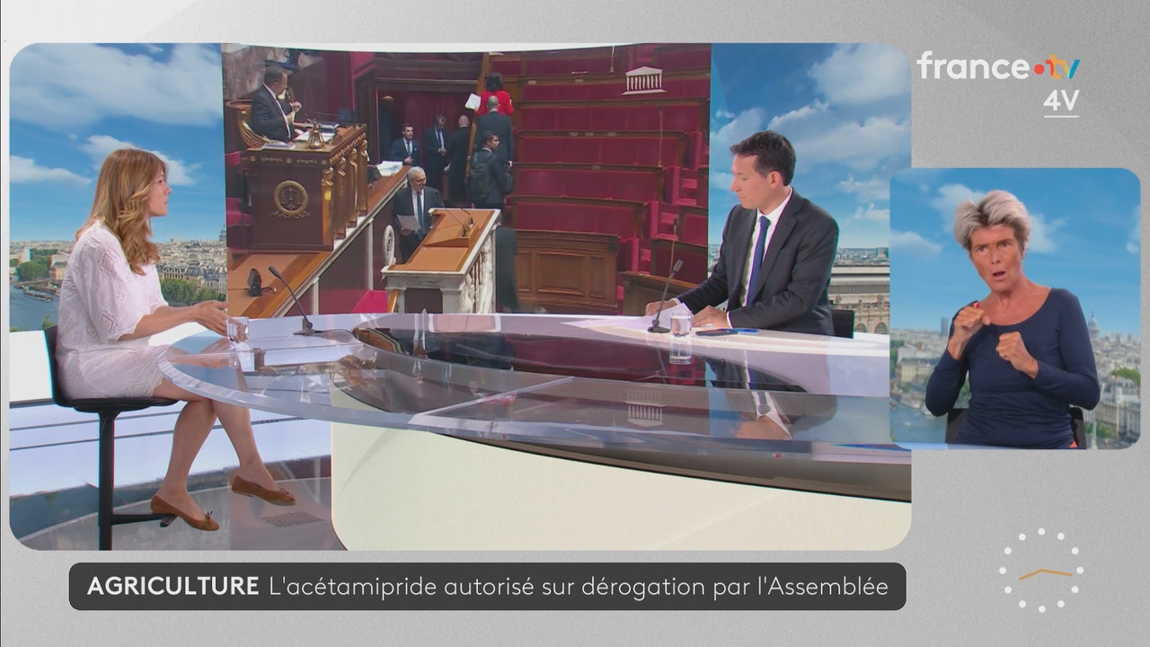 Journal 08h00 (France 2) 2026 07 21 06 55 81 ts snapshot 21 56 921