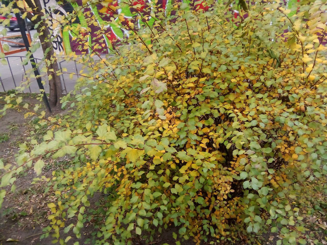 photo_2024-11-12 4.59.13 пп