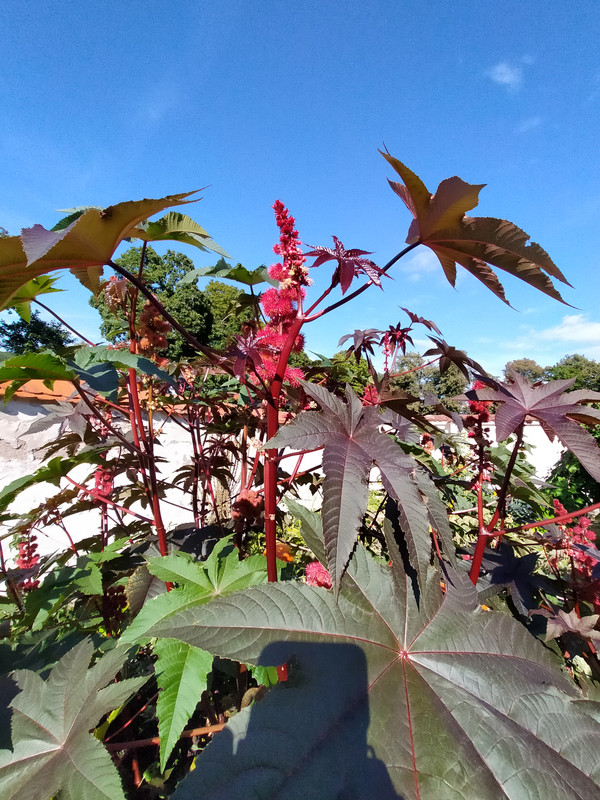 005 - IMG20210904155854