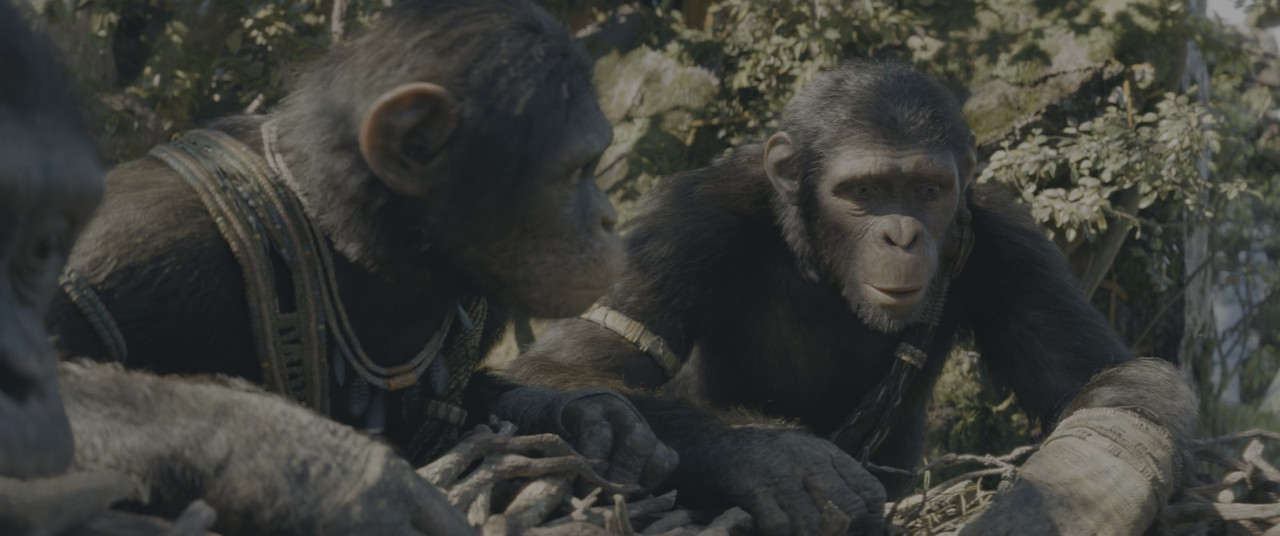 Il regno del pianeta delle scimmie (2024) .mkv 2160p DV HDR WEB-DL DDP 5.1 iTA ENG H265 - FHC.mkv_20