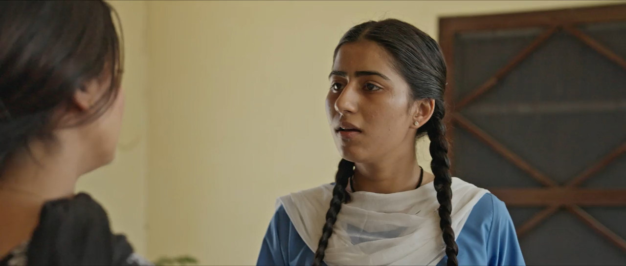 The Error 2025 WebRip [Punjabi] 480p 720p ESub Screenshot