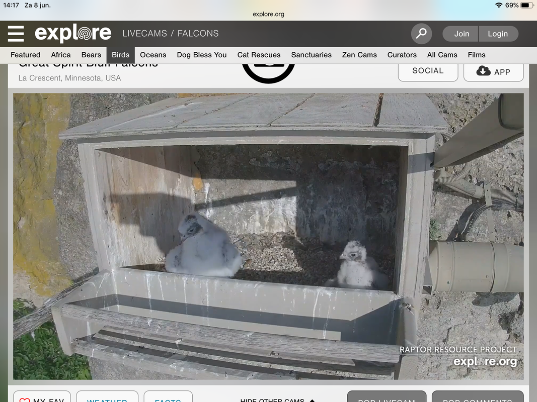 A65C559A-4742-4A1D-8667-30DE2FE3407C