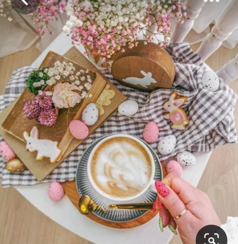 Screenshot_20230413_233302_Pinterest