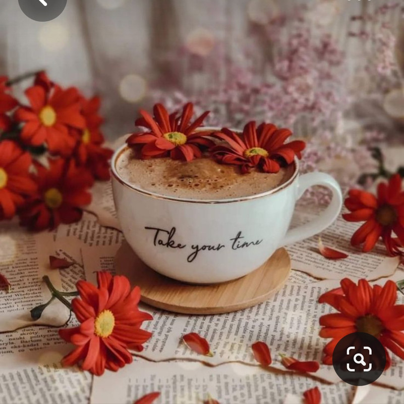 Screenshot_20230603_222241_Pinterest