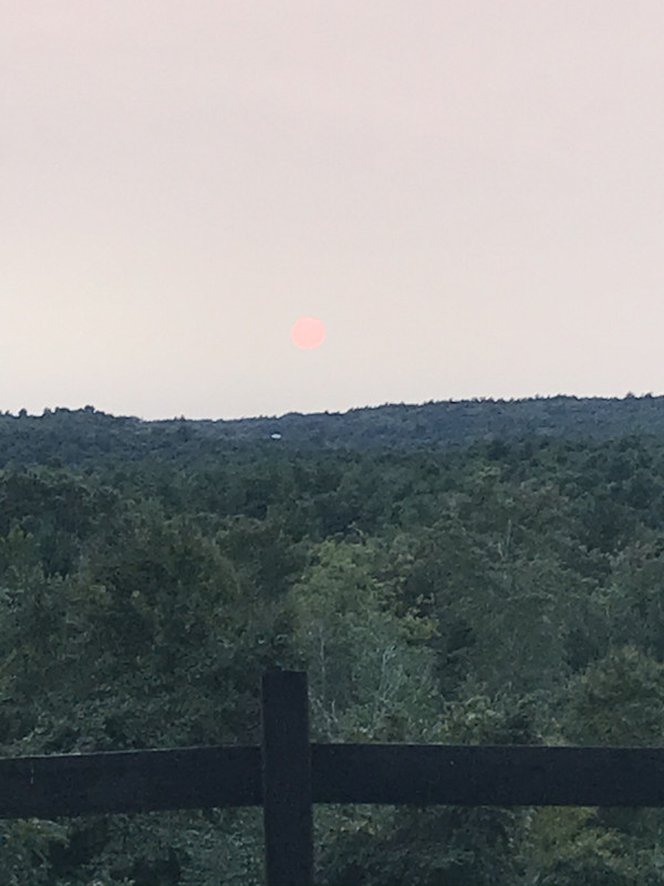 7136D0E5-0E53-4C9D-9528-422E38A26939