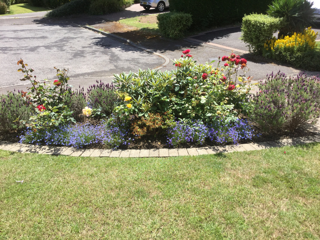 BB6D94C2-0A81-41E6-8D69-B1919BBB6200