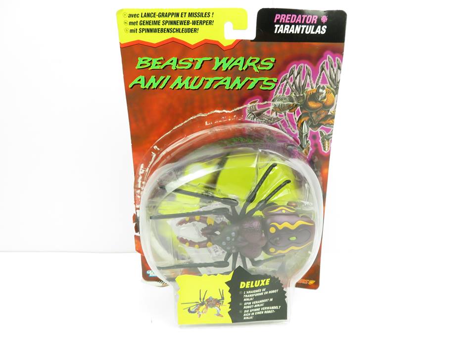 41799565_2340469545967591_2790343194540244992_n