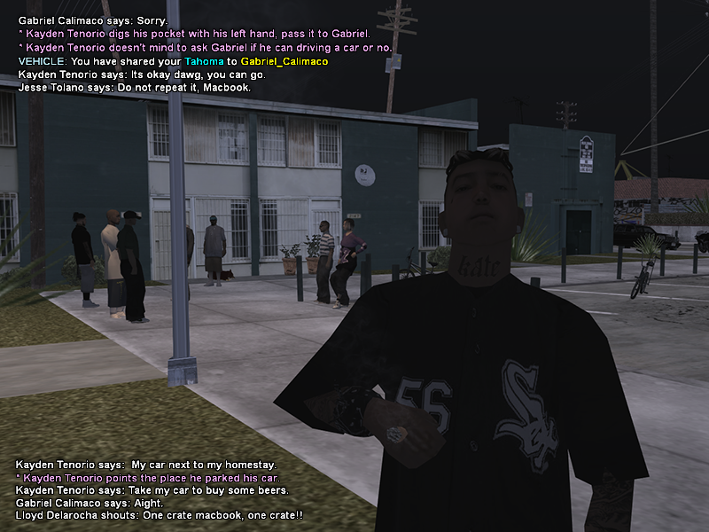 SS3.png