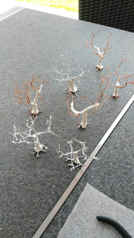 WhatsApp Image 2021-07-18 at 15.48.12 (1)