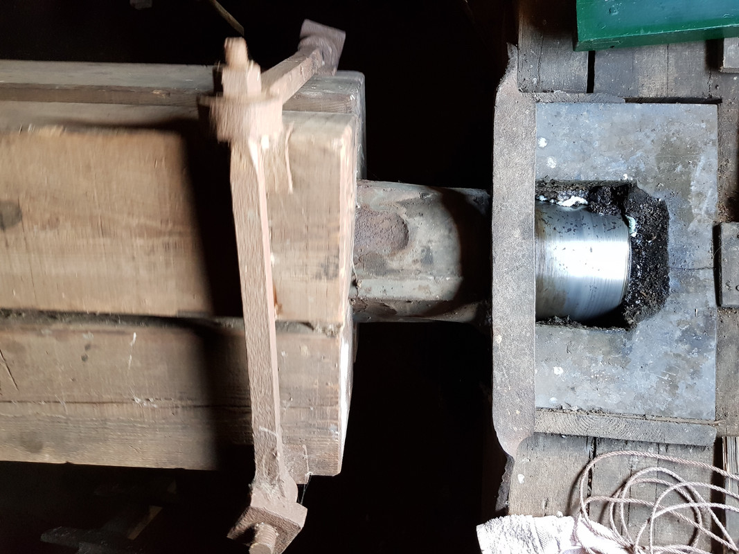 Pieter, De Korenhalm 53 's-Gravenpolder 14-06-2019