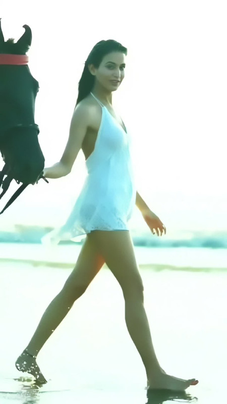 IMG_20241105_233238_834