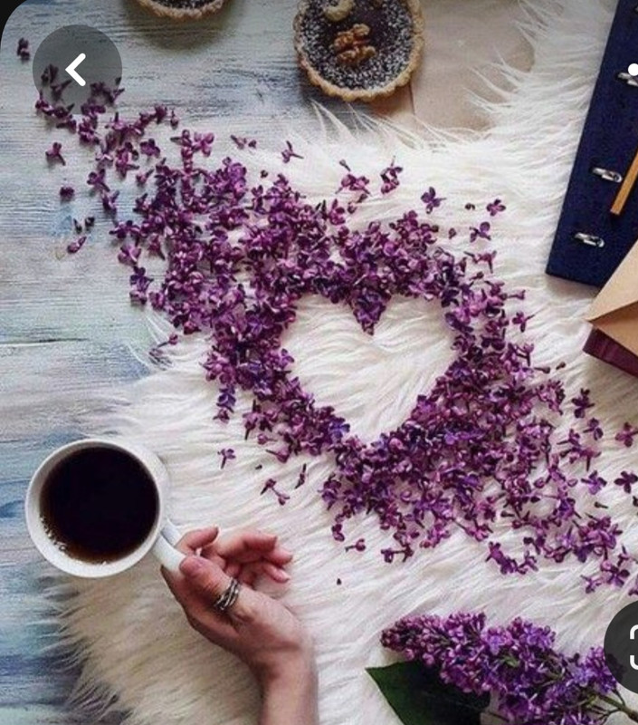 Screenshot_20230219_202418_Pinterest