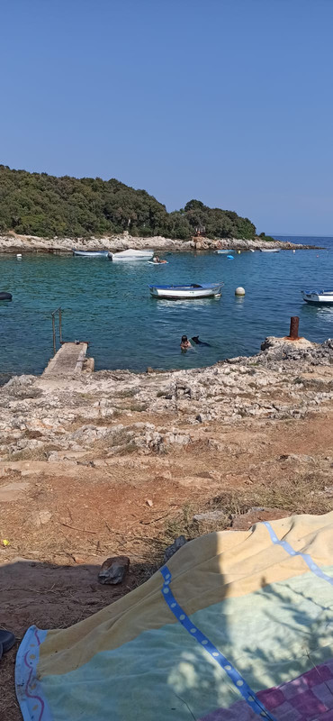 3046E197-9E87-405B-A742-6F53DF3B46DD