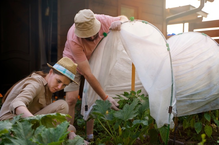 Why Grow Your Own