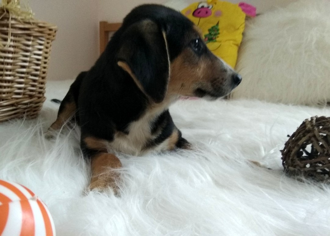 изображение_viber_2019-09-15_17-38-57