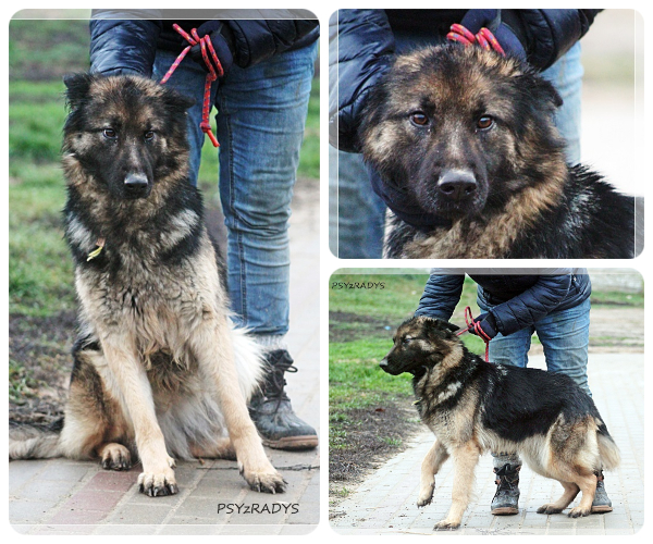 BeFunky-collage (24)