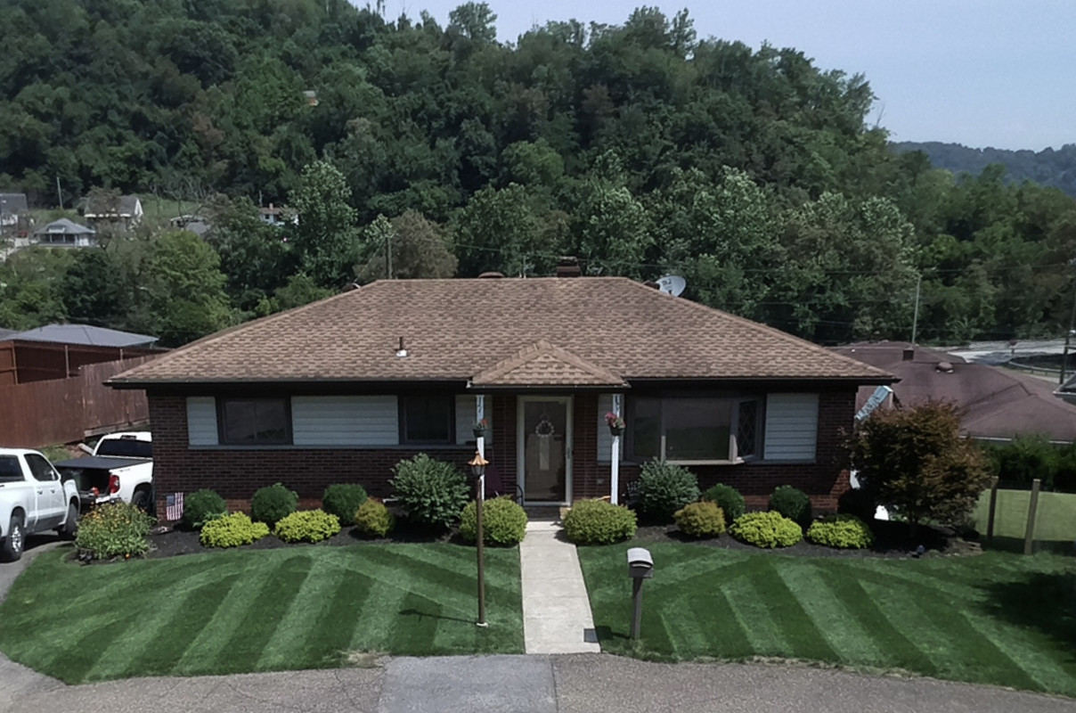 Mountainview 365SS from Tuckahoe Turf Farm Lawn Care Forum