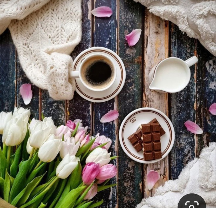 Screenshot_20230722_010733_Pinterest