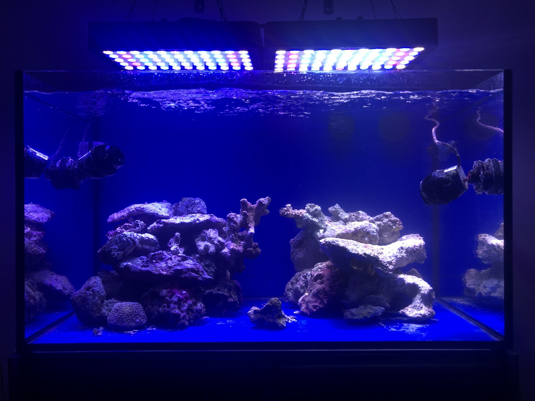 E7A6D17B-D14A-4F04-9D97-623DBEC5D8F5