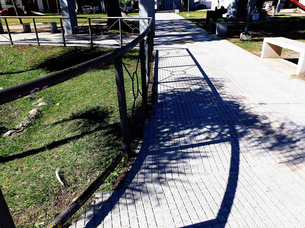 DSCN0221.jpg