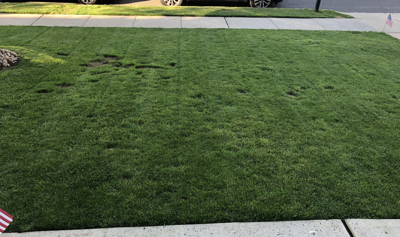 74EBA2B0-C5E0-4B1D-A5AD-5EA724F90AEF