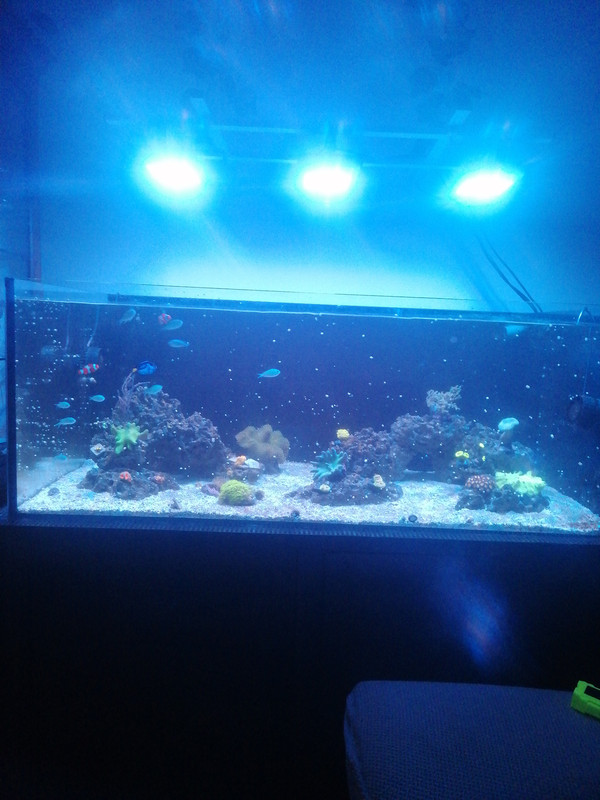 17697990831708693496553704633105