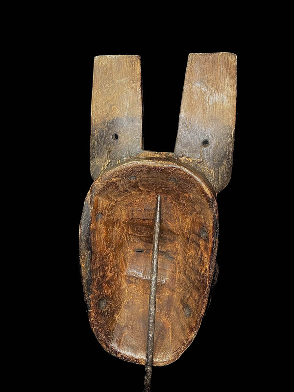 large image 11