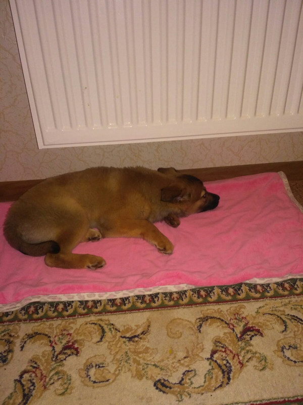 изображение_viber_2021-01-07_20-19-54