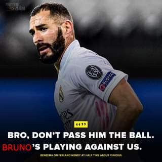 bruno.jpg